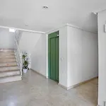 Lägenhet Homely Joven Pura *