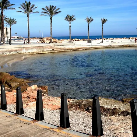 Homely Joven Pura Torrevieja