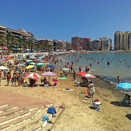 Homely Joven Pura * Torrevieja