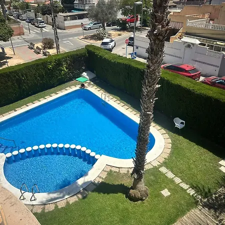 Homely Joven Pura * Torrevieja